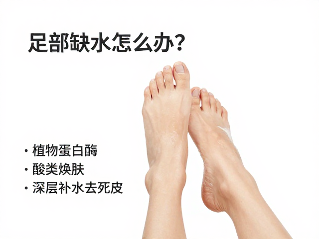 深层补水策略:锁水与修复屏障