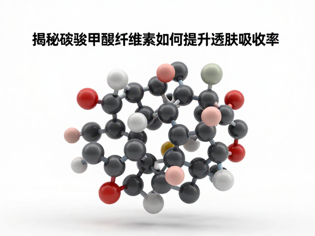 羧甲基纤维素的分子特性与载体优势