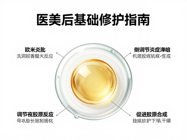 欧米伽3调节炎症反应与促进胶原合成的科学机制