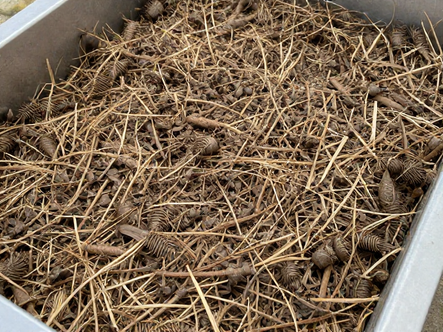 利用环境材料构建防潮防虫隔离层