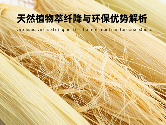 环保优势解析与资源循环价值