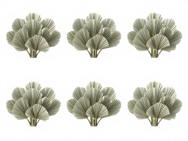 3D-6D多簇可选B卷柔和款，保持开花扇面均匀