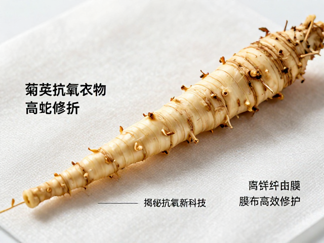 菊苣根提取物清除自由基,生物纤维膜布高效修护,揭秘抗氧新科技