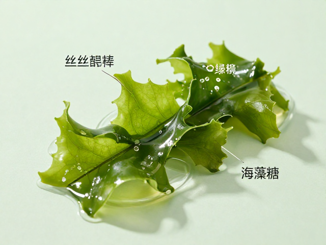 丝氨酸,海藻糖,重要场合妆前护理,打造持久水润底妆