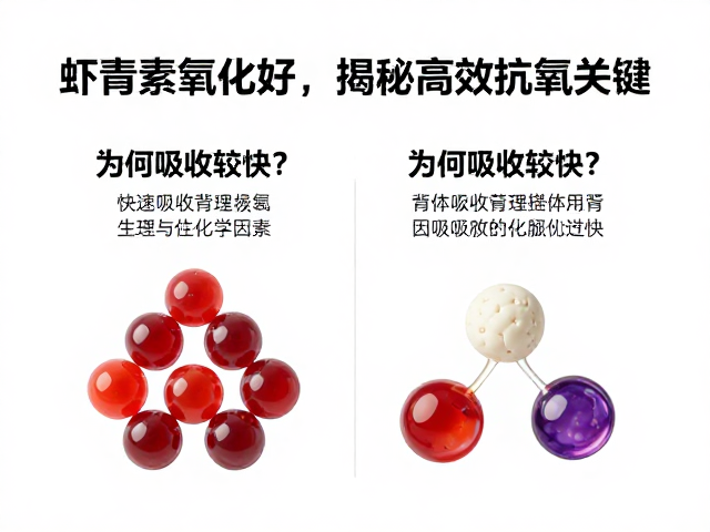 快速吸收背后的生理与化学因素