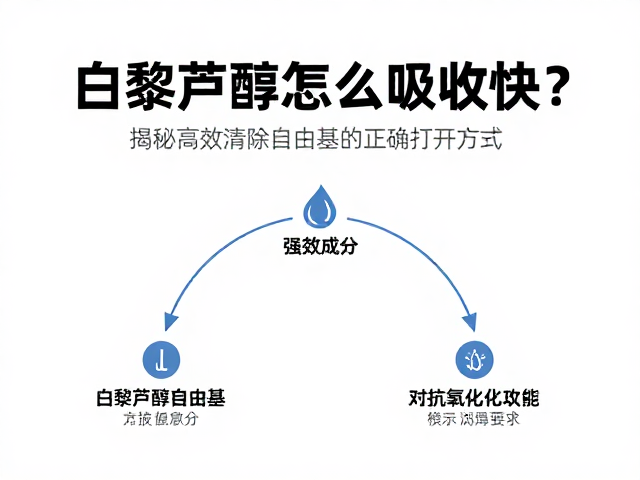 协同成分对抗氧化效能的强化作用