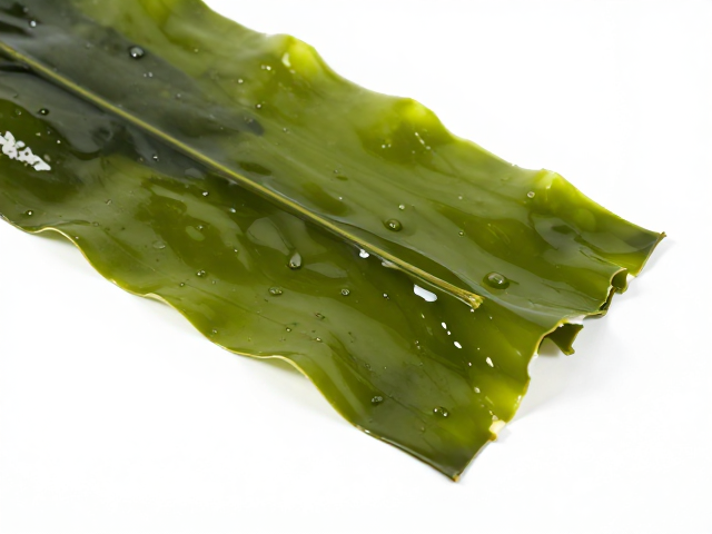 物理阻隔:打造严密的二次密封环境