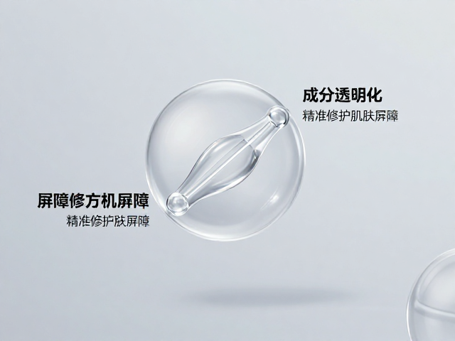 透明化视角下的屏障修护机制解析