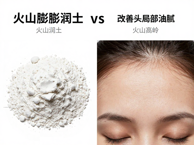 矿物吸附机制的差异分析
