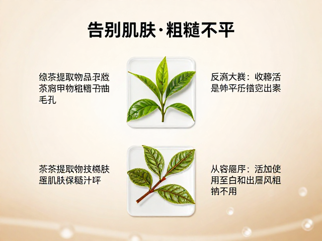 绿茶提取物的活性成分与作用路径