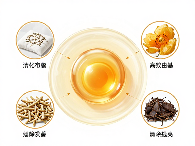 核心成分对自由基的清除路径
