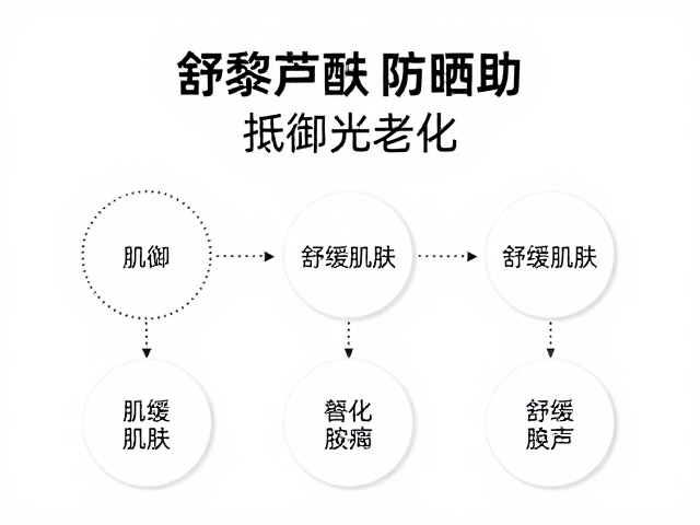 白藜芦醇防晒辅助,舒缓肌肤,抵御光老化