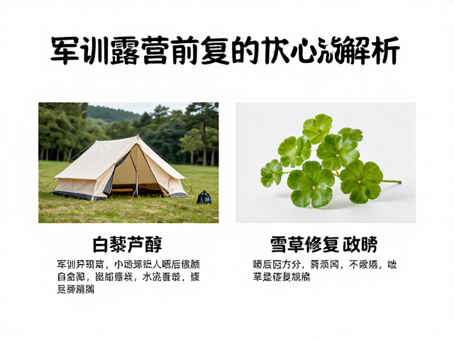 晒后即刻修复的核心成分解析