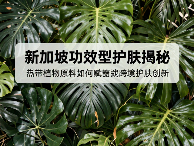 可持续与伦理采购：绿色供应链的未来趋势