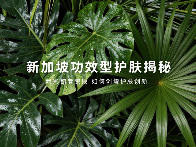 气候适应性配方：应对湿热环境的护肤逻辑