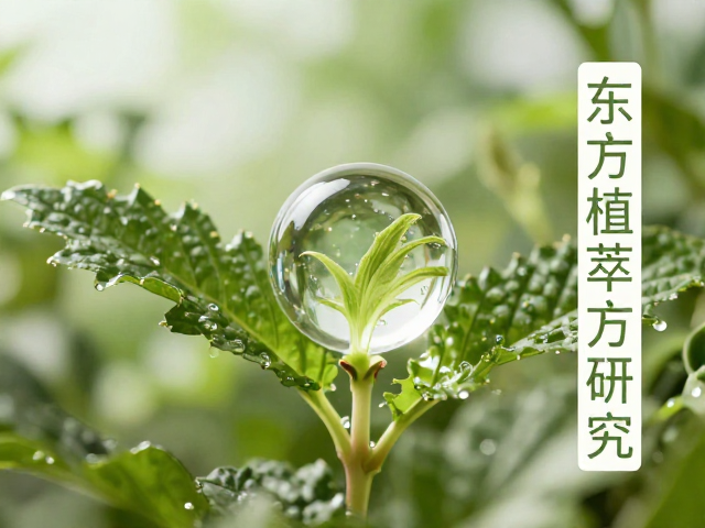 东方植萃配方研发,揭秘草本护肤如何自然提亮肤色