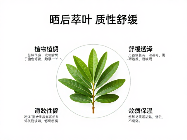 植物活性成分在晒后修复中的科学机制