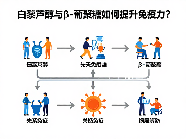 β-葡聚糖对先天免疫系统的激活路径