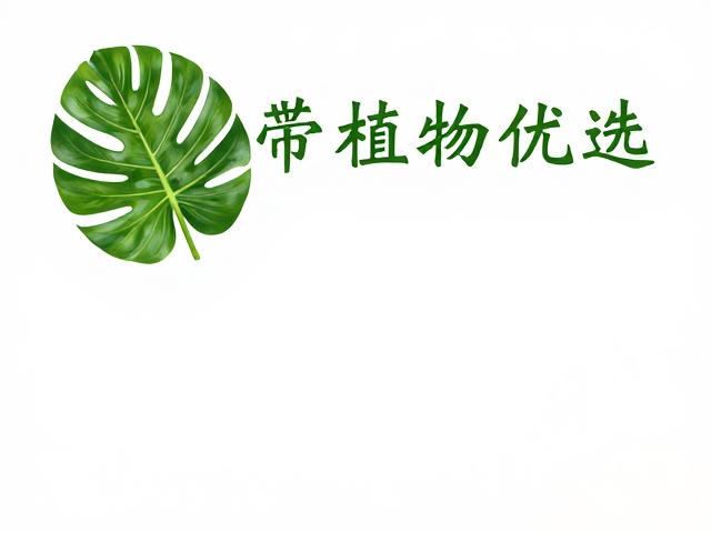 热带植物原料平价优选,按需清洗去残留,锁住天然精华