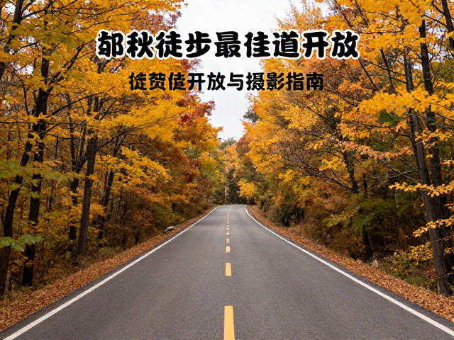 装备选择与安全摄影注意事项