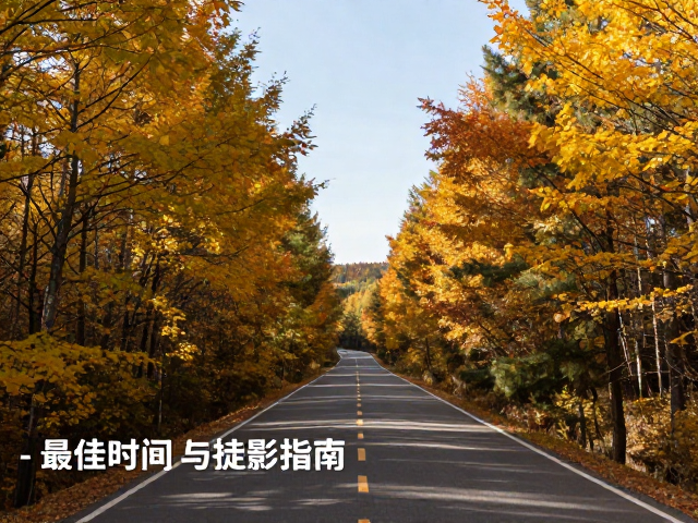 秋季徒步最佳时间,道路开放与摄影指南