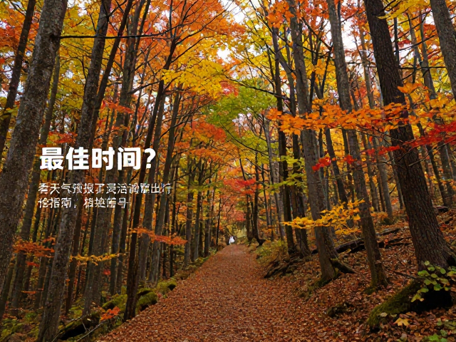 路线规划与海拔策略