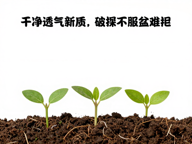 筛选高透气基质与配土逻辑