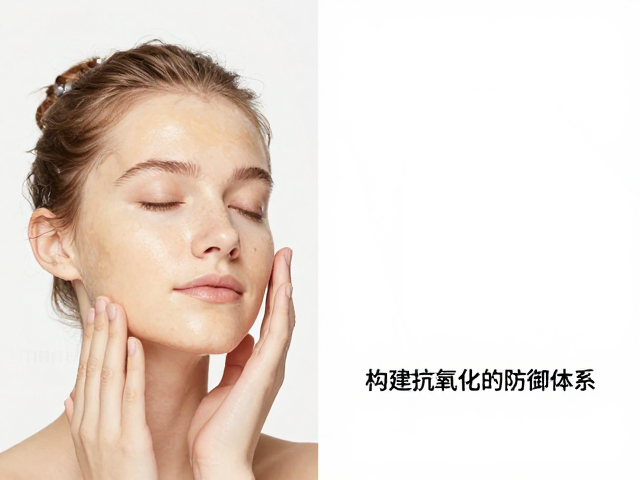 核心成分:构建抗氧化的防御体系