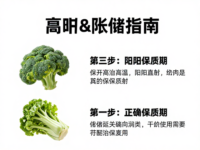 常见食材的科学存储场景解析