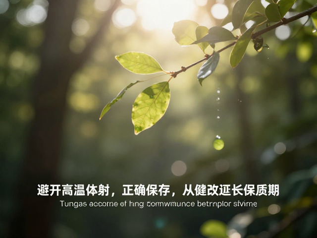 光照对营养素降解与品质改变的作用