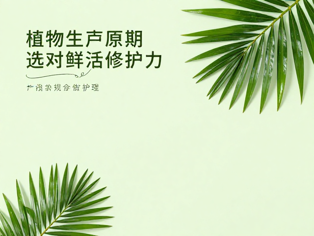 热带植物原料晒后修护,关注生产日期,选对鲜活修护力