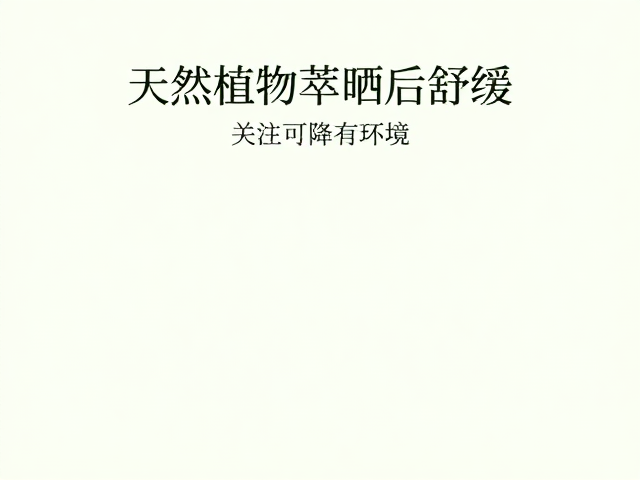 可降解认证背后的环境责任与生态循环