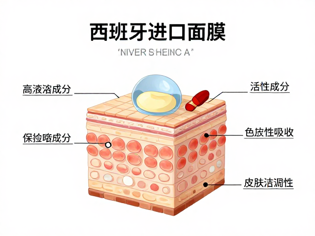 高浓度活性成分的作用机理与皮肤吸收