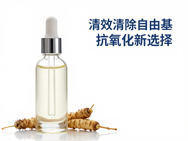 菊苣根提取物精华充足,高效清除自由基,抗氧化新选择