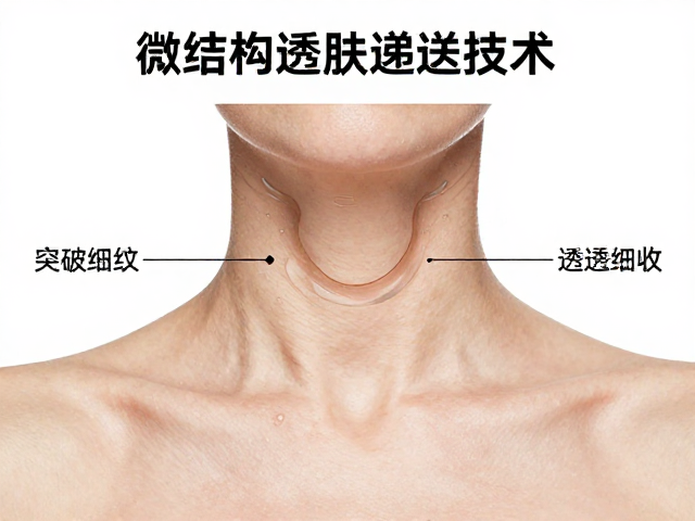 突破颈部屏障的核心技术路径与吸收效率