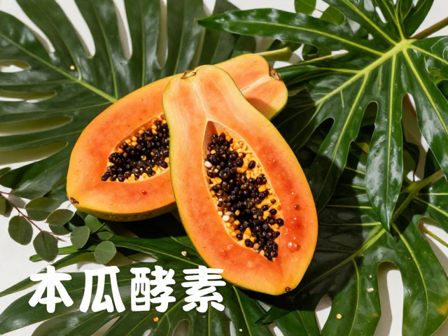 热带植物原料打造混合性肌肤清爽肌