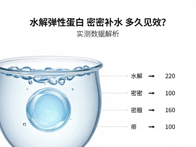 水解弹性蛋白,密集补水,多久见效?实测数据解析
