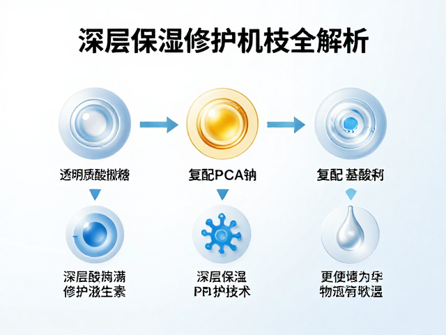 复配体系的多通路保湿修护机理