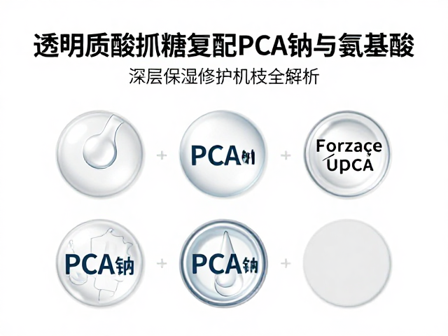 PCA钠的脂质调节与天然保湿因子协同