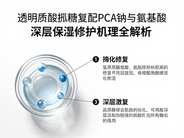 氨基酸的角质层修复与酶促激活作用