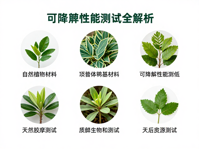 测试数据的解析逻辑与实际应用关联