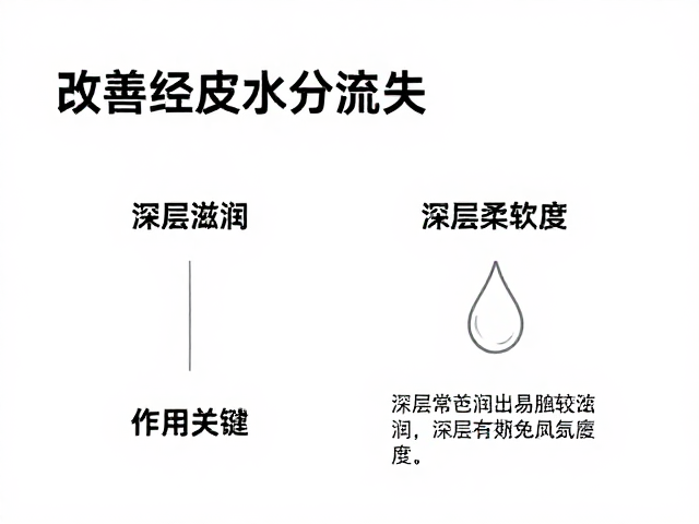 深层滋润成分的科学选择与作用机理