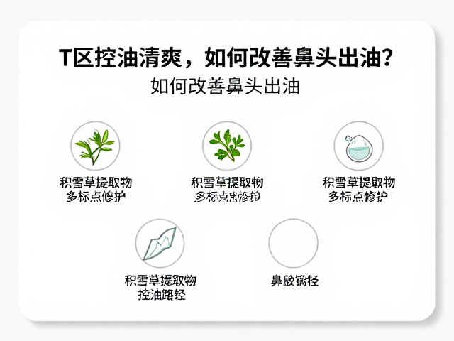 积雪草提取物的多靶点修护与控油路径