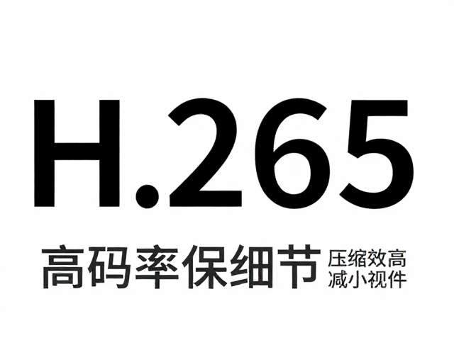 高码率下的细节保留与画质表现