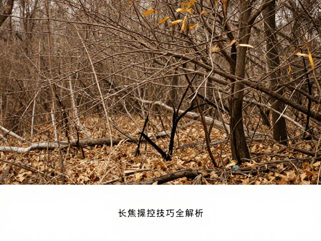 镜头语言与场景叙事的艺术