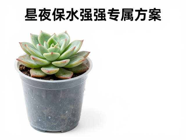 塑料盆浇水的时间窗口选择