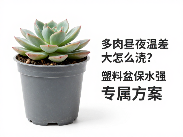 环境调控与盆土配方的适配