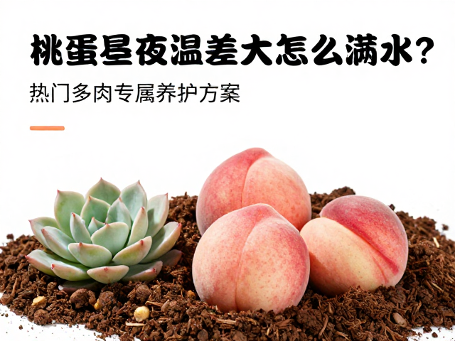 配土结构与长期养护调整