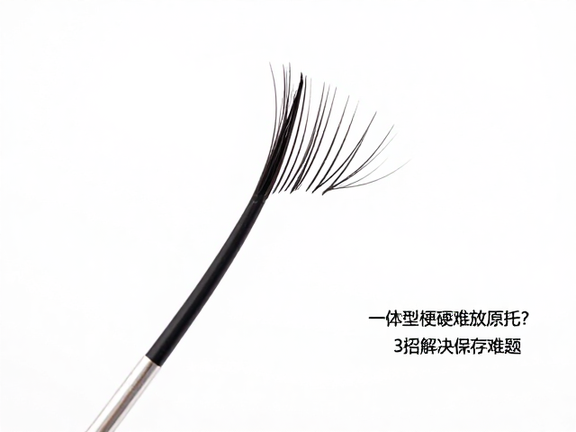 全长一体成型毛条睫毛梗硬难放原托？3招解决保存难题