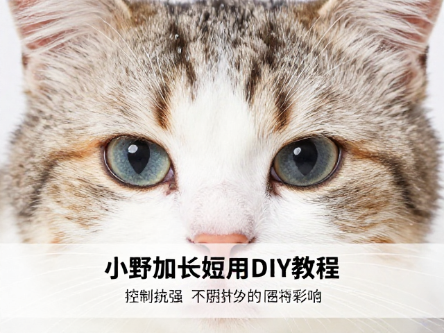 阴干环境对胶水固化的影响